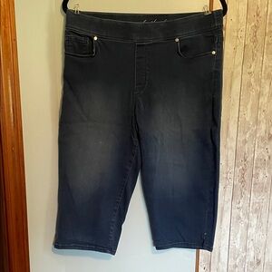 Gloria Vanderbilt Navy Denim Shorts